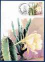 MAX0084 1983 FLORA BRASILEIRA MANDACARU CBC FEIRA SANTANA